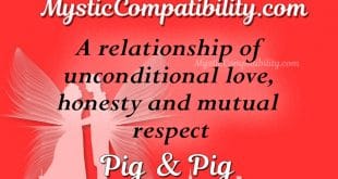 pig pig compatibility