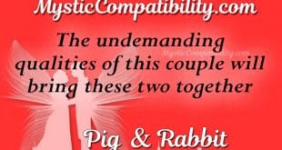 pig rabbit compatibility