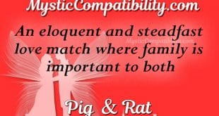 pig rat compatibility
