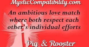 pig rooster compatibility