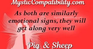 pig sheep compatibility