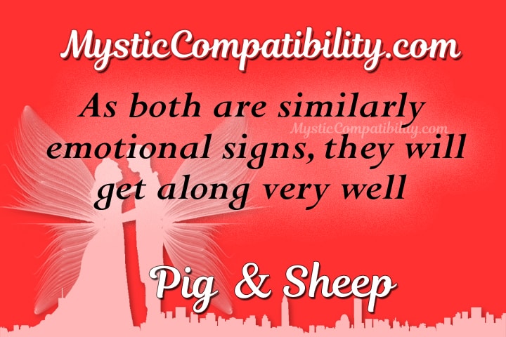 pig sheep compatibility