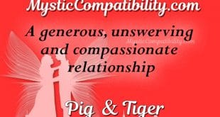 pig tiger compatibility