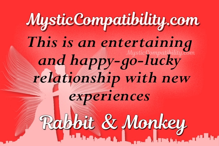 rabbit monkey Compatibility