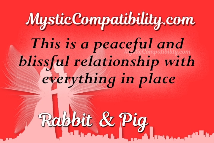 rabbit pig compatibility