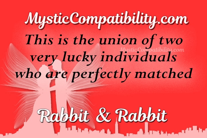 rabbit rabbit Compatibility