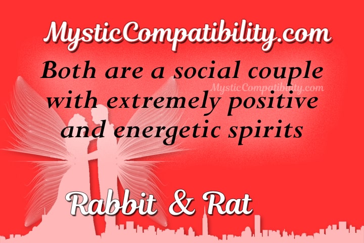 Rabbit Rat Compatibility