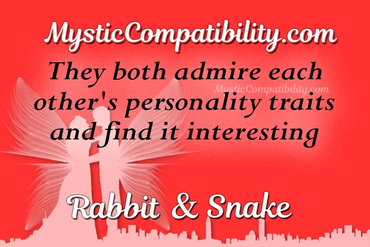 rabbit snake compatibility
