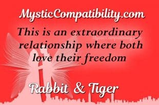 Rabbit and tiger compatibility