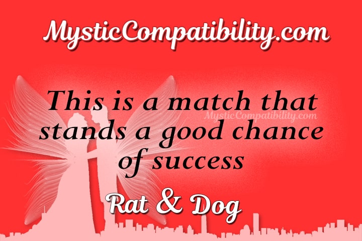 Rat Dog Compatibility