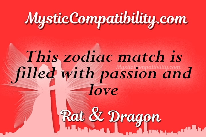 Rat Dragon Compatibility