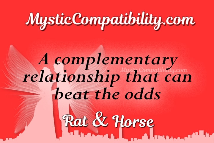 Rat Horse Compatibility