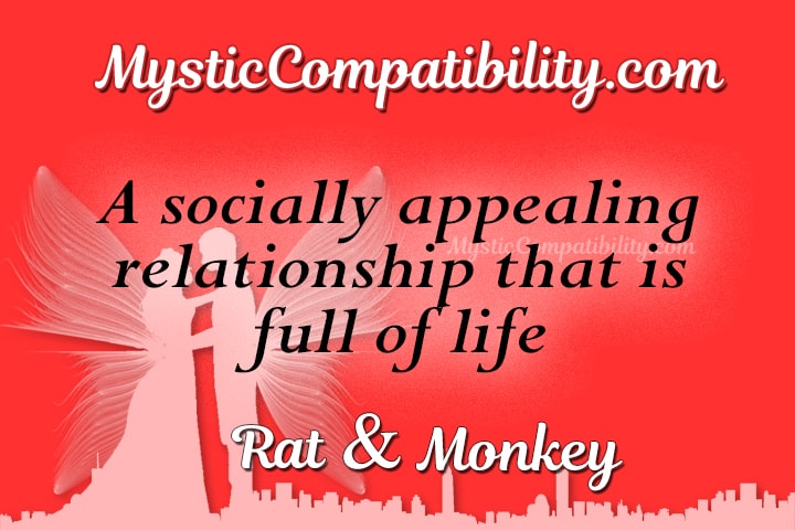 Rat Monkey Compatibility