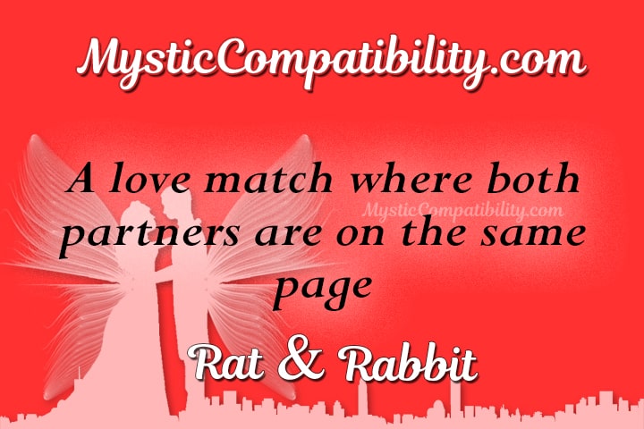 Rat Rabbit Compatibility