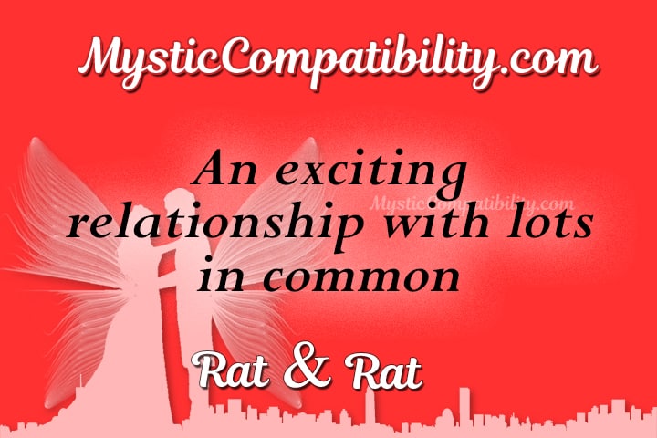 Rat Rat Compatibility