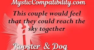 rooster dog compatibility