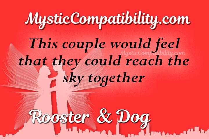 rooster dog compatibility