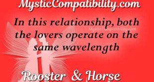rooster horse compatibility