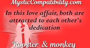 rooster monkey compatibility