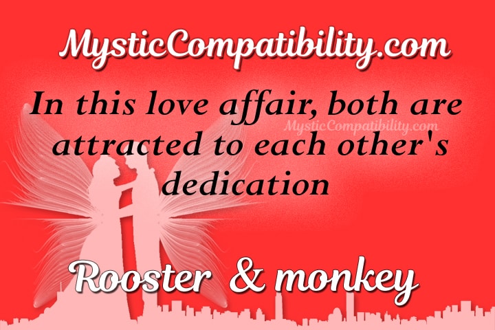 rooster monkey compatibility