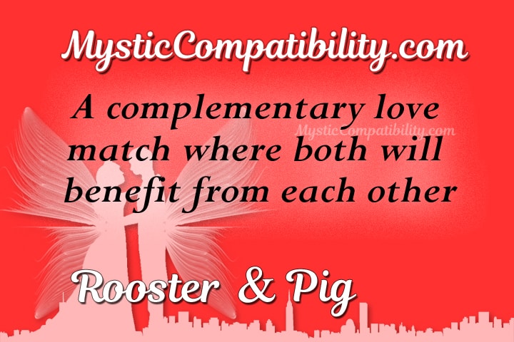 rooster pig compatibility
