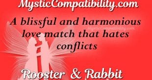 rooster rabbit compatibility