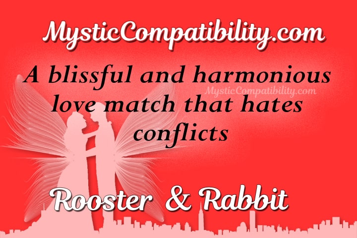 rooster rabbit compatibility