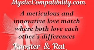 rooster rat compatibility