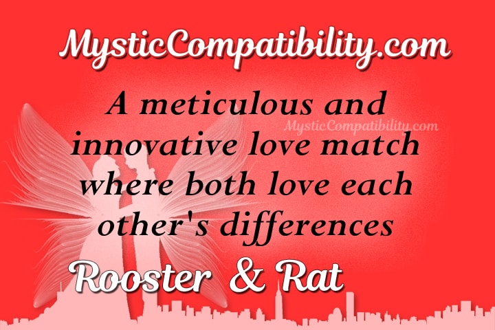 rooster rat compatibility