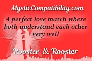 Rooster Rooster Compatibility - Mystic Compatibility