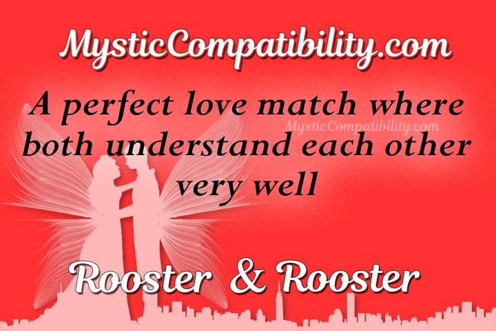 rooster rooster compatibility