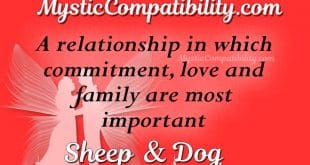 sheep dog compatibility