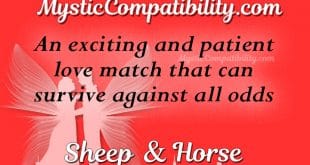 sheep horse compatibility