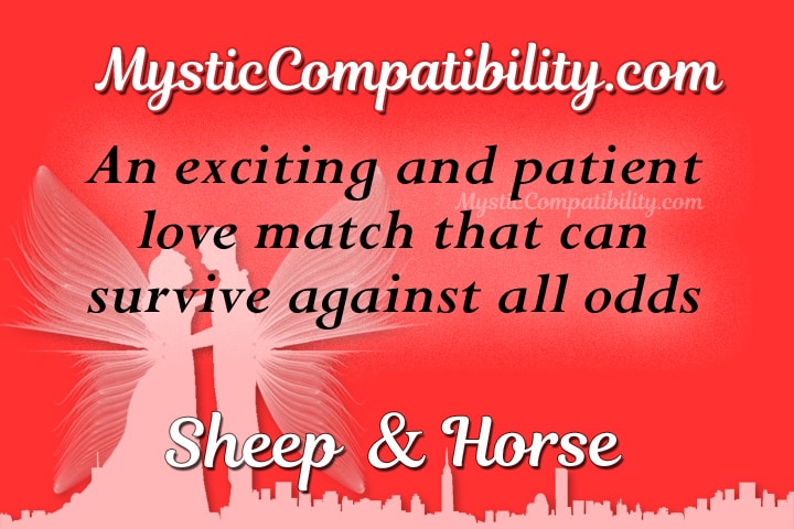 sheep horse compatibility