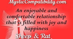 sheep rat compatibility