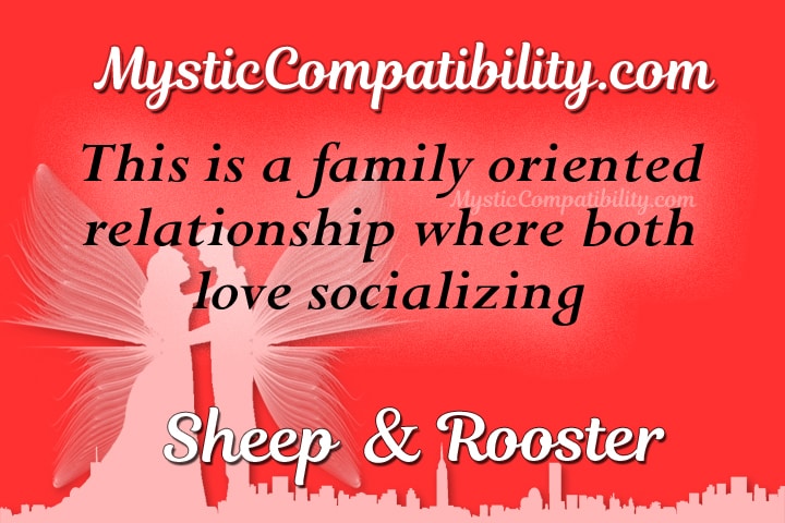 sheep rooster compatibility