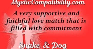 snake dog compatibility