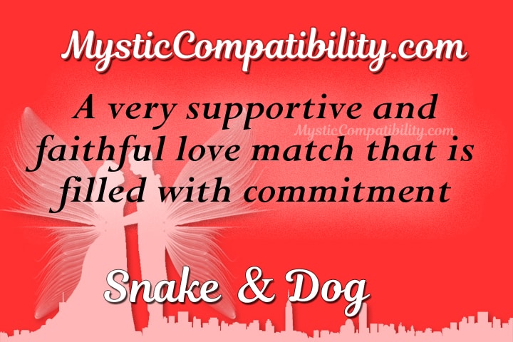 snake dog compatibility