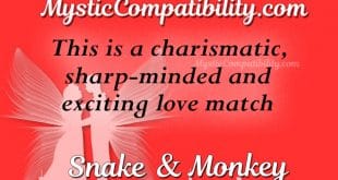 snake monkey compatibility