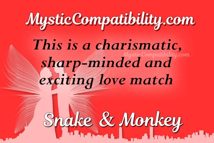 snake monkey compatibility