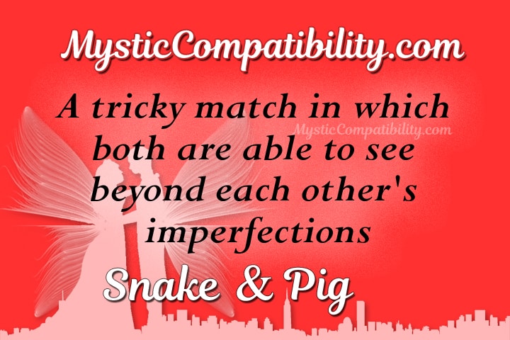 snake pig compatibility