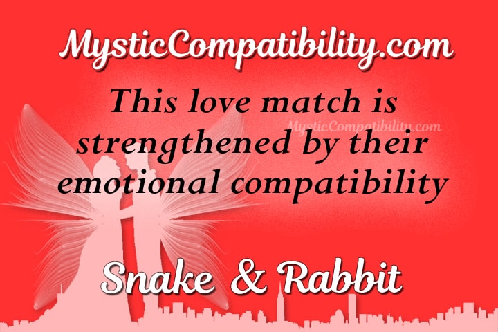 snake rabbit compatibility