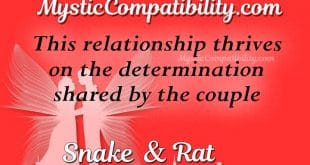 snake rat compatibility