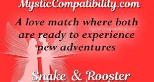 snake rooster compatibility