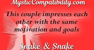 snake snake compatibility