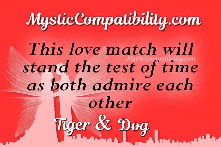 Tiger Dog Compatibility