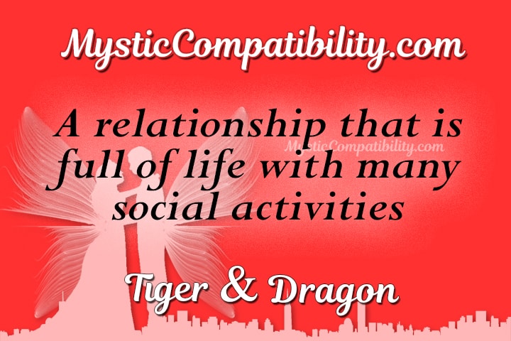 Tiger Dragon Compatibility