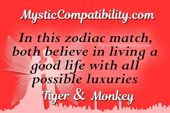 Tiger Monkey Compatibility