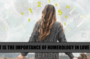 WHAT IS THE IMPORTANCE OF NUMEROLOGY IN LOVE LIFE